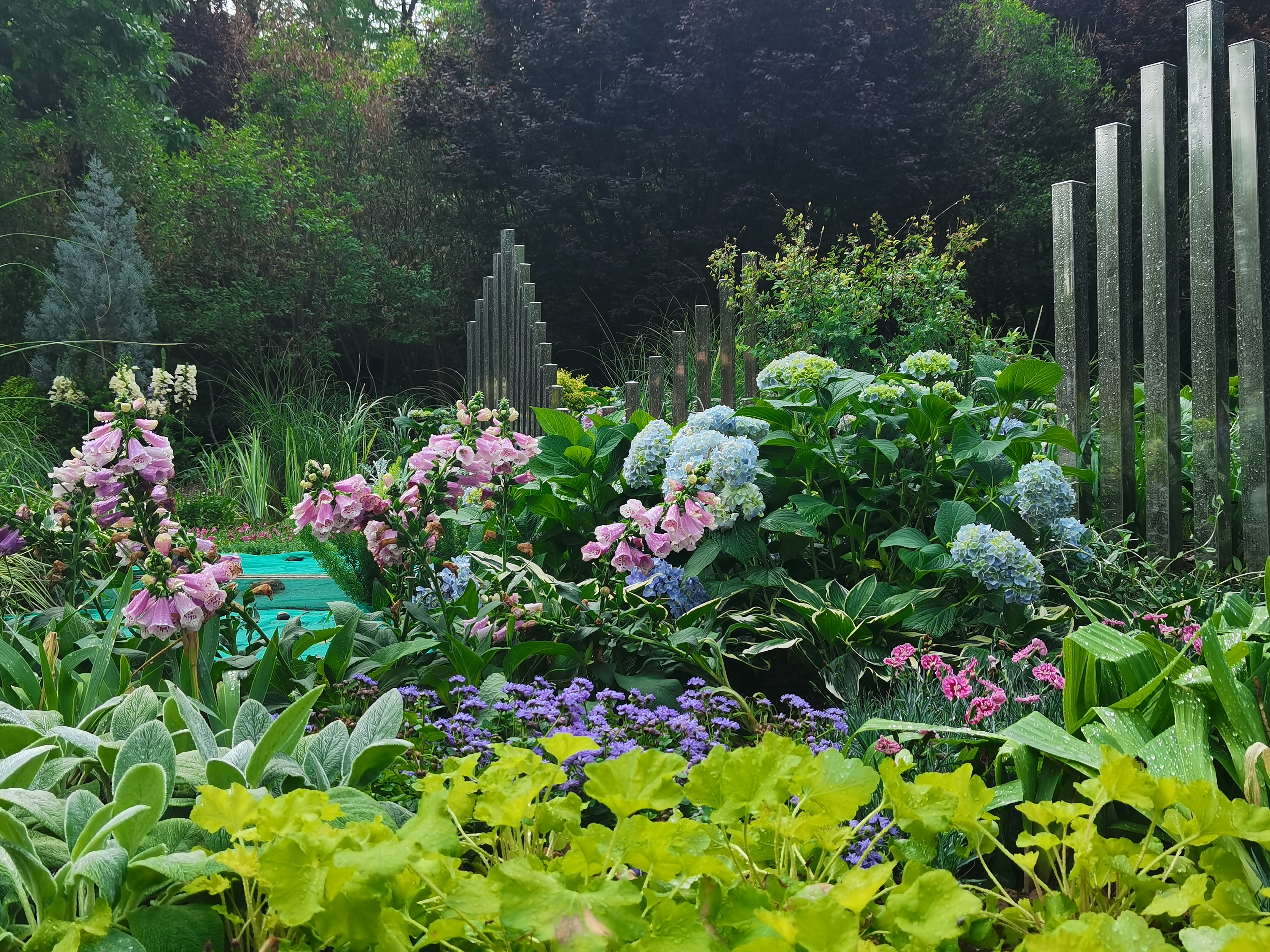 ��ʱK66_��ʱK66��(�й���)�ٷ���վ