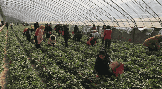 ��ʱK66_��ʱK66��(�й���)�ٷ���վ