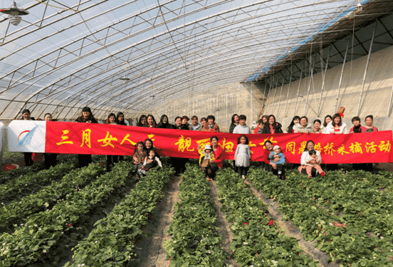 ��ʱK66_��ʱK66��(�й���)�ٷ���վ