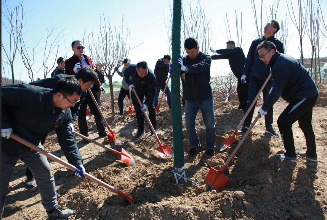 ��ʱK66_��ʱK66��(�й���)�ٷ���վ