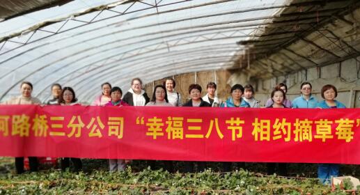 ��ʱK66_��ʱK66��(�й���)�ٷ���վ