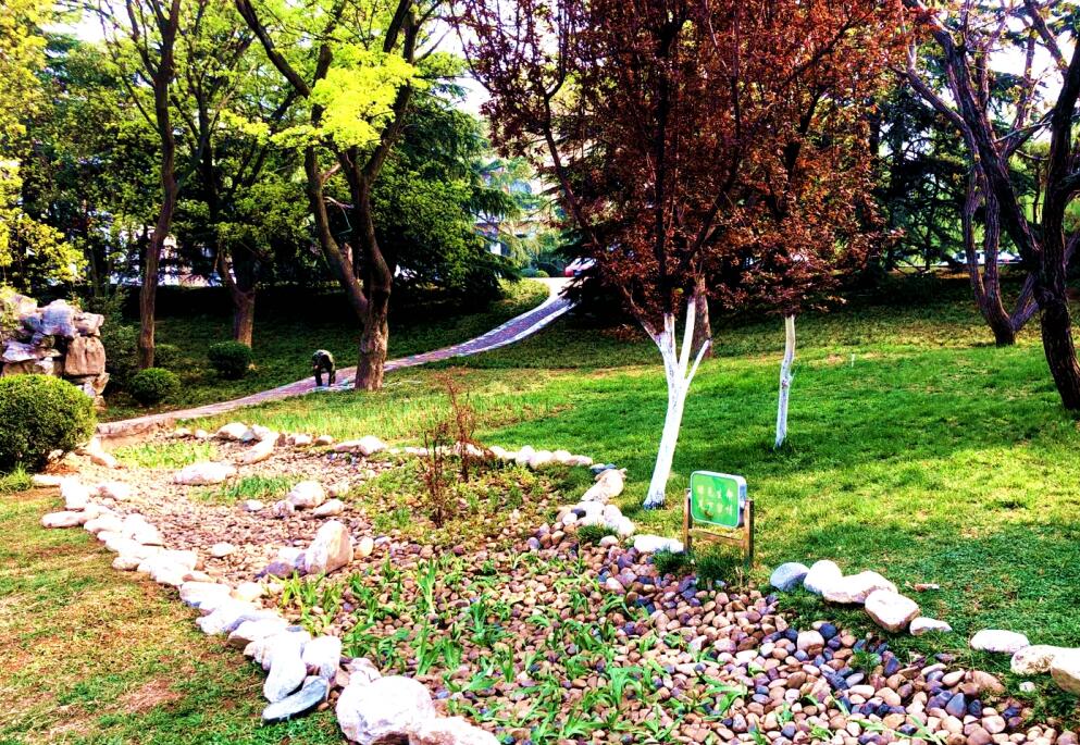 ��ʱK66_��ʱK66��(�й���)�ٷ���վ