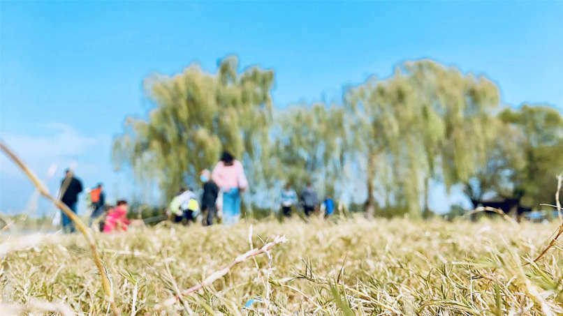 ��ʱK66_��ʱK66��(�й���)�ٷ���վ