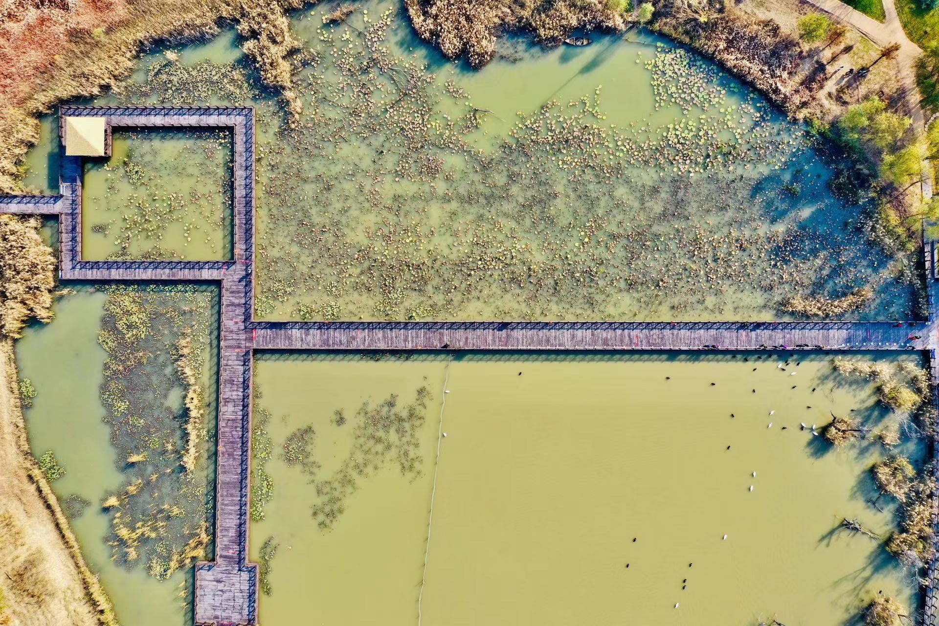 ��ʱK66_��ʱK66��(�й���)�ٷ���վ